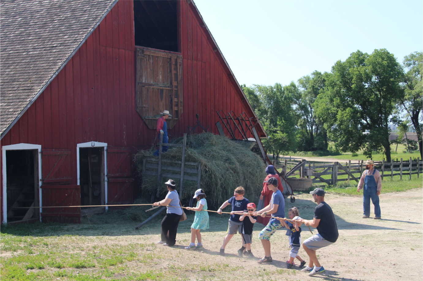 Putting up hay in the barn at Living History Farms.  Image courtesy of Living History Farms.