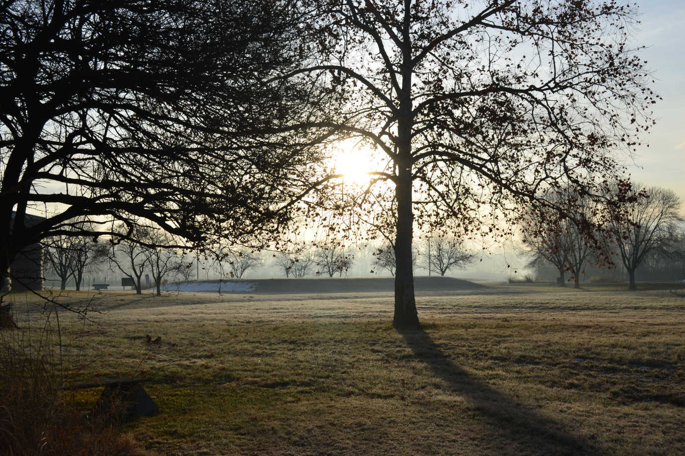 A view of the mounds at sunrise. Image courtesy of the Cahokia Mounds Museum Society.