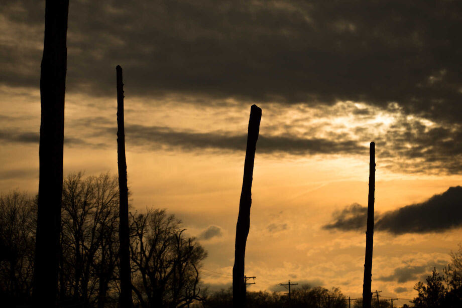 The reconstructed Cahokia Woodhenge is a series of large timber circles where the Cohokia Mounds Museum Society gives explanations of the discovery and function of the ancient calendar. Image courtesy of the Cohokia Mounds Museum Society.