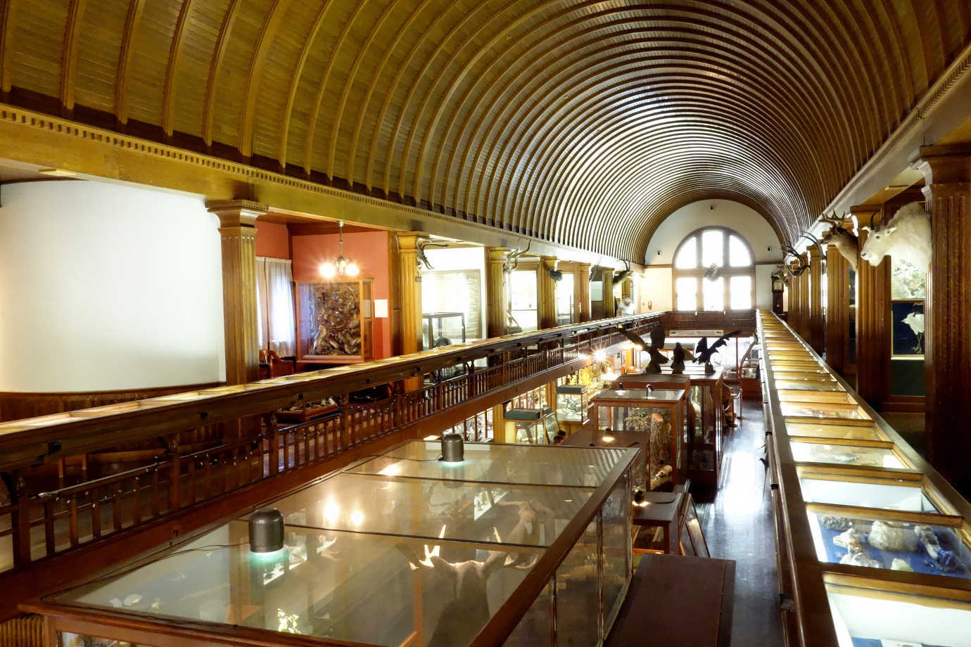 The Fairbanks Museum & Planetarium regularly holds classes in its exhibition space. Image courtesy of Daderot [CC0] via Wikimedia Commons.