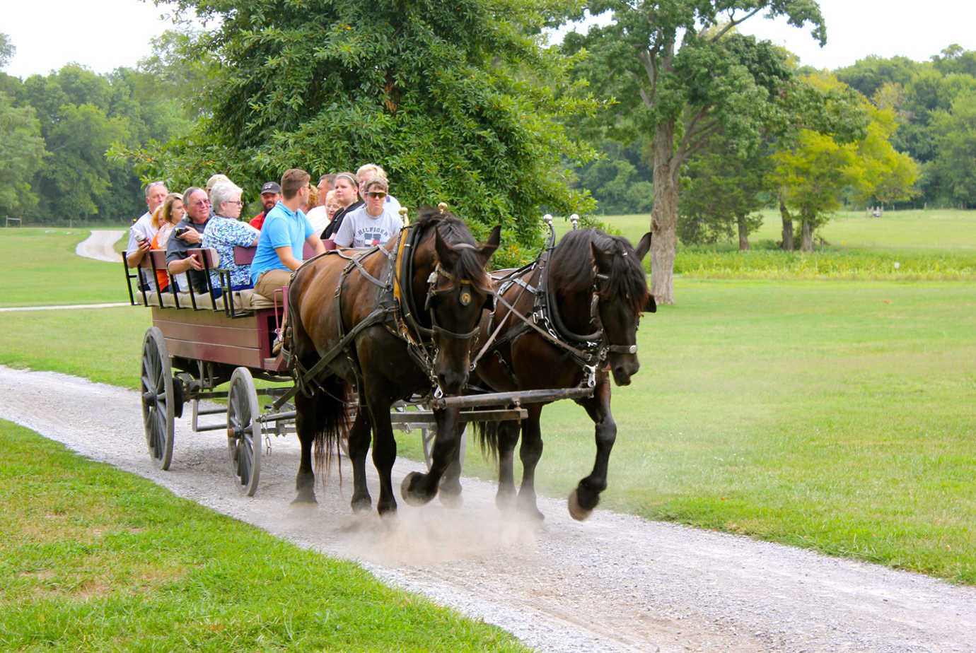 A wagon ride at Andrew Jackson's Hermitage. Image courtesy of The Hermitage.