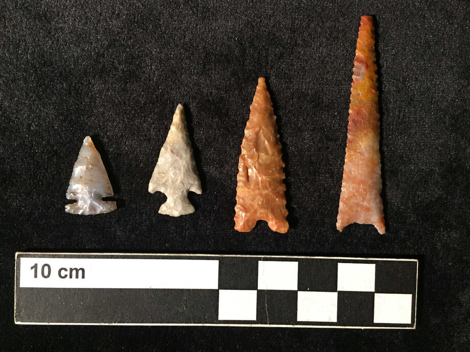 Several projectile points (arrowheads) from the Bluff Great House in Bluff, Utah. Courtesy of Edge of the Cedars State Park Museum.
