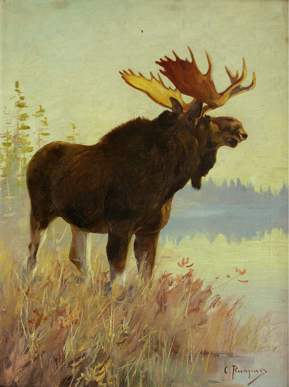 Carl Rungius (American, b. Germany, 1869–1959), Sportsmen's Moose, 1907. Oil on canvas. 28 x 21 inches. Purchased with Funds Generously Donated by the Robert S. and Grayce B. Kerr Foundation, National Museum of Wildlife Art. © Estate of Carl Rungius.